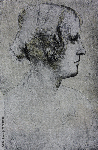 Fotografia The Portrait of Young Woman by Leonardo Da Vinci, illustrated in a vintage book,