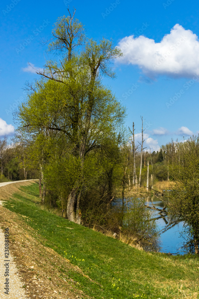 Beautiful view near the isar mouth - Moos - Bavaria - Germany Beautiful view near the isar mouth - Moos - Bavaria - Germany