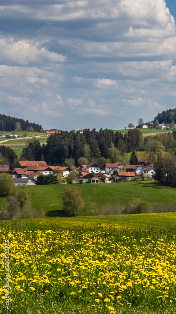Smartphone HD wallpaper of beautiful view near Kirchberg im Wald - Bavarian Forest - Bavaria - Germany