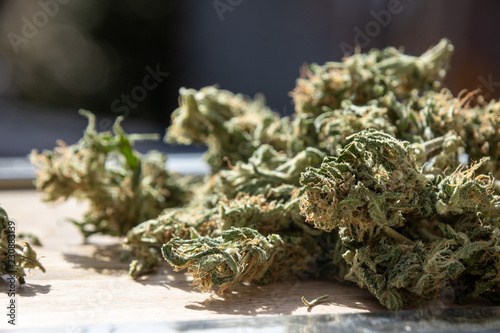 Close up Homegrown Marijuana Buds. Cannabis Flowers with Copy Space.