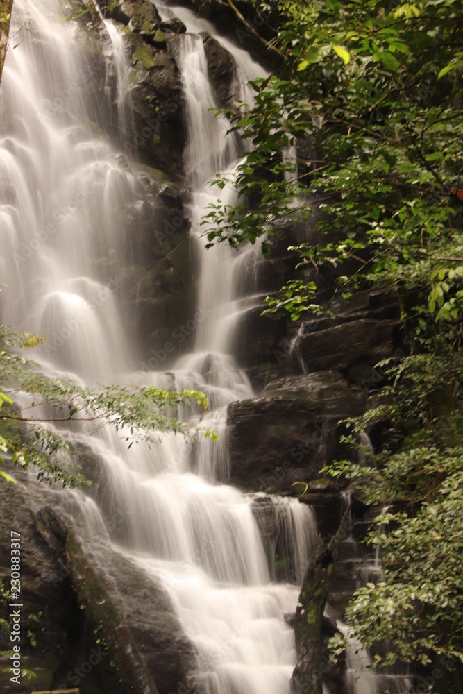 Obraz premium Forest waterfall with blurred motion