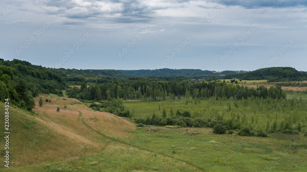 Obraz premium landscape with green field and blue sky