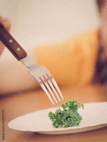 Tableau sur toile Plate with diet lettuce meal