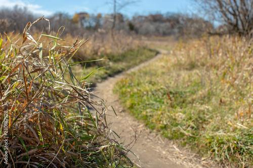 Mountain Bike Trail