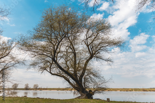 Beautiful view near Steinkirchen - Danube - Bavaria - Germany photo