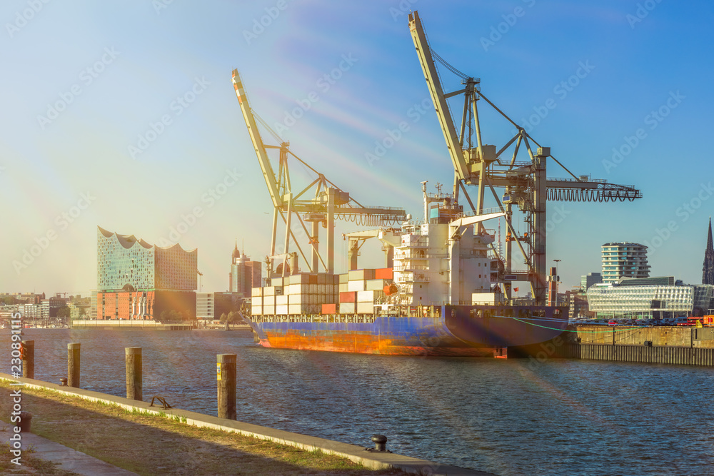 Panorama Hamburg Speicherstadt mit Elbphilharmonie, Containerschiff und Kränen