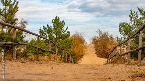 Empty pathway with fence to the wild beach on a cloudy autumn day in Gdansk Stogi.