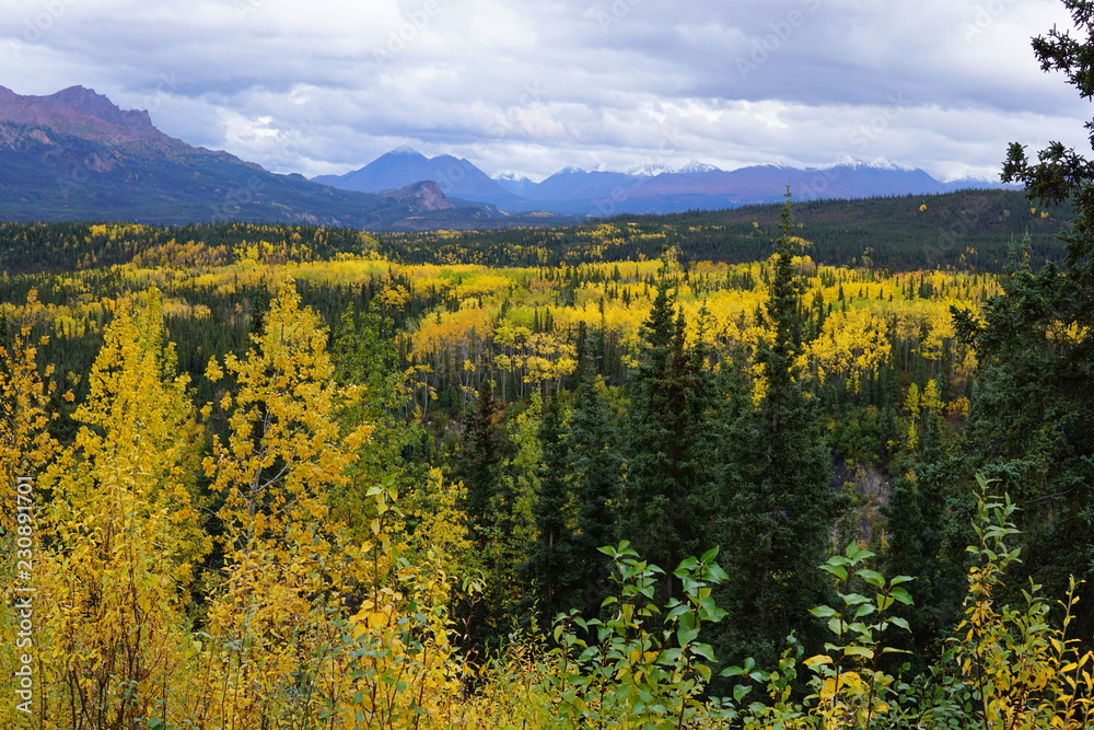 Alaska fall. 