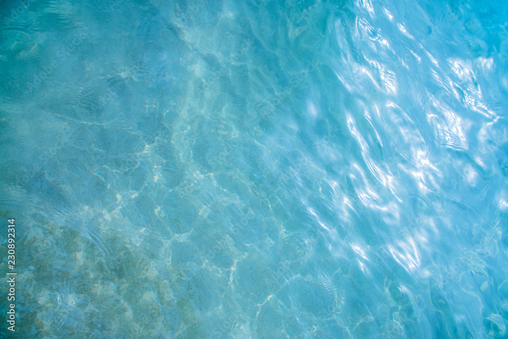 the background is a blue surface of sea water the background is a blue surface of sea water