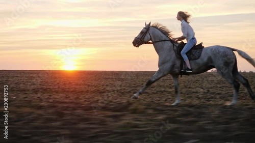 Young blonde girl riding on a horse on the field during sunset, slow motion