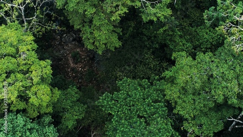 Aerial drone image of the rainforest at Amboro National Park  Bolivia