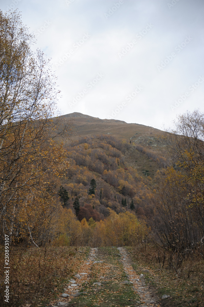 Fototapeta premium autumn in the mountains