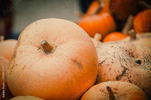 Some pupmkins in basket. Autumn season time photo