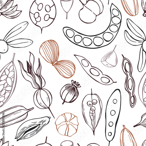 Vector  seamless pattern with hand drawn seedpods.