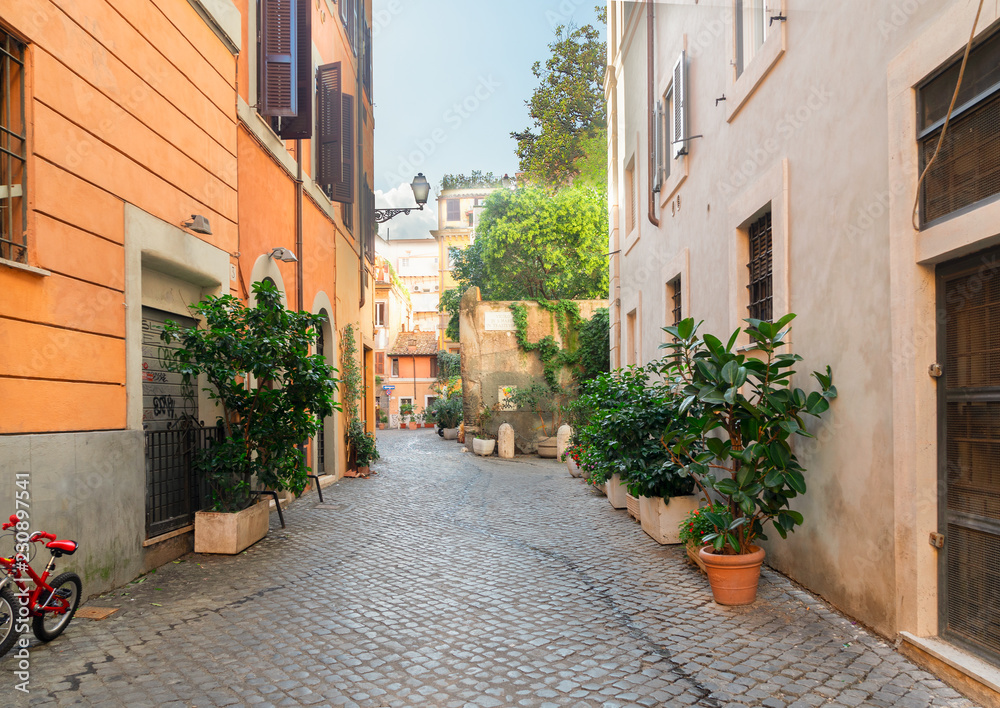typical narrow italian street in Trastevere with green plants and stone pavement, Rome, Italy