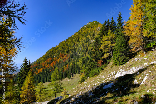 Autumn in the Slovenian mountains