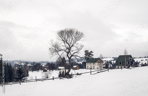 Winter landscape in the Carpathian mountains in Eastern Europe