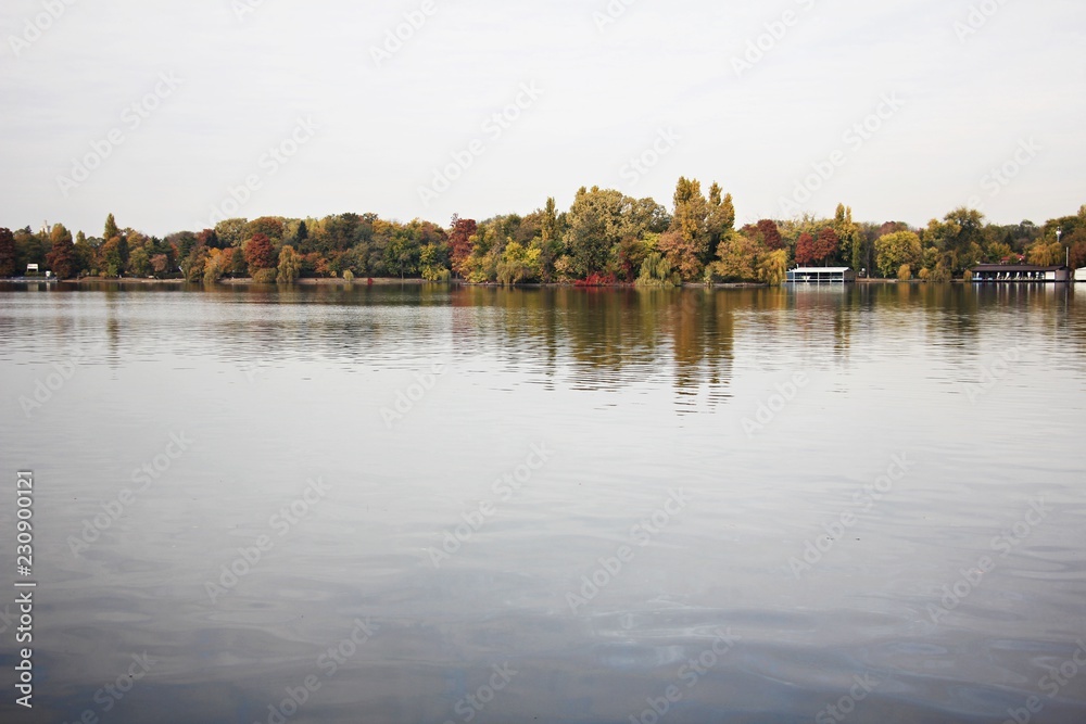 Obraz premium Colorful trees reflecting in the water. Beautiful autumn day. 