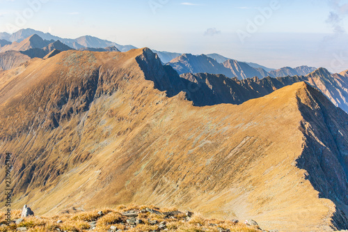 Landscape with rocky mountain peaks in summertime season  Fagaras Mountains  Romania