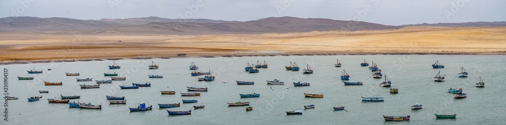 Boats in Paracas bay