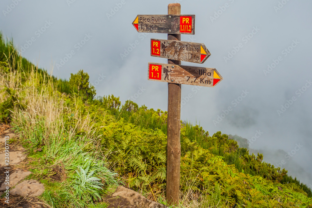 hiking trail to Pico Ruivo, Madeira