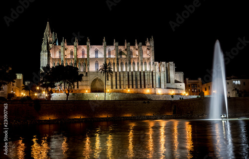 Cathedral of Palma de Mallorca at night with its illuminated fountain and Lights reflecting on the pool - Balearic Islands, Spain.