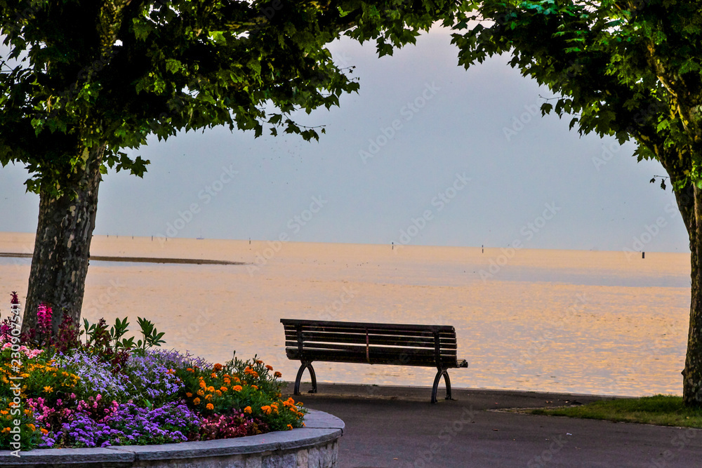 Obraz premium bench in the park