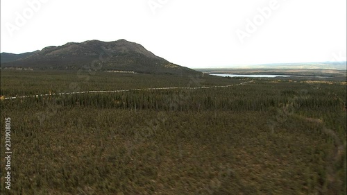 Aerial Trans Alaskan Oil Pipeline forest Wilderness photo