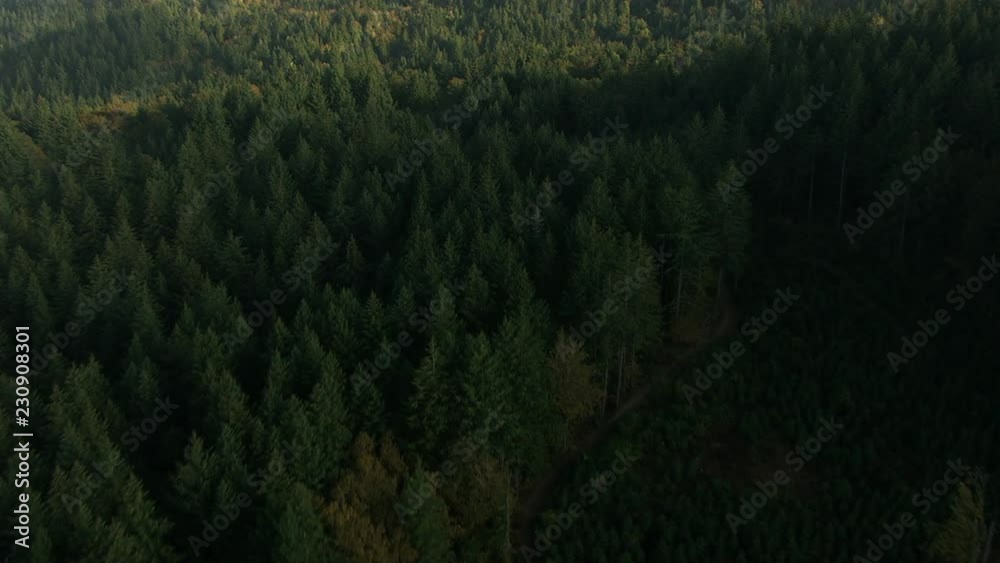 Aerials Oregon USA Farming crops agricultural Landscape Aerials Oregon USA Farming crops agricultural Landscape