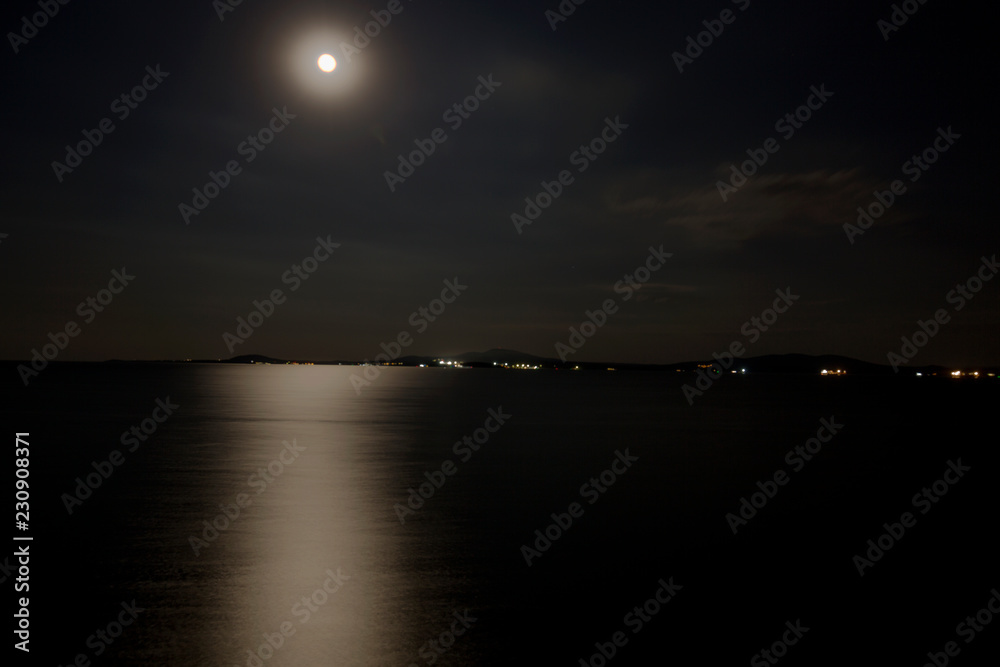 Fototapeta premium Sea under the moon