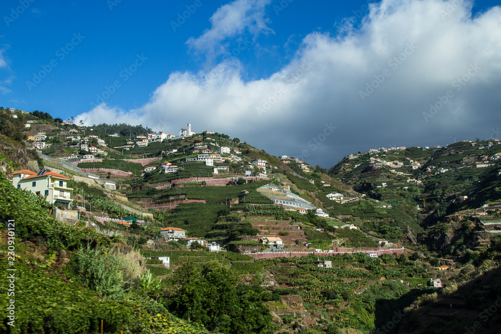 Obraz premium funchal, madeira