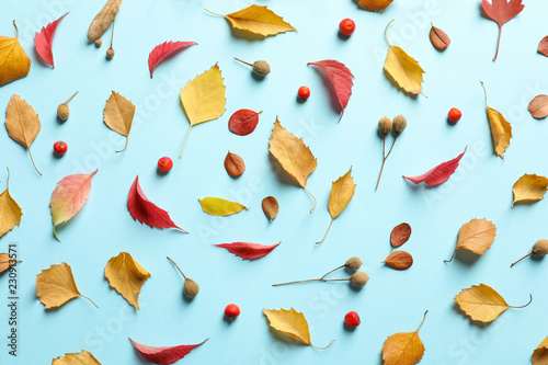 Flat lay composition with autumn leaves on color background