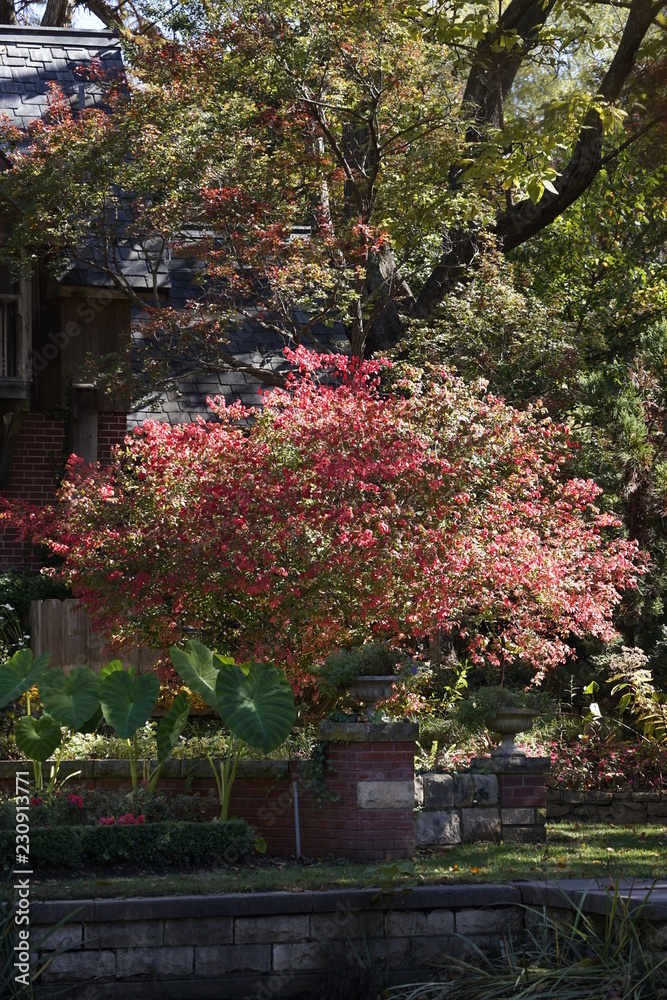 Naklejka premium flowers