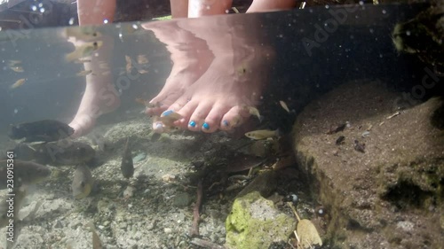 Freshwater/brackish fish (including wild mollies and guppies) nibble on feet in a natural pool at Arikok National Park in Aruba. photo