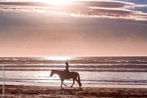 horse on the beach at sunset © Santiago