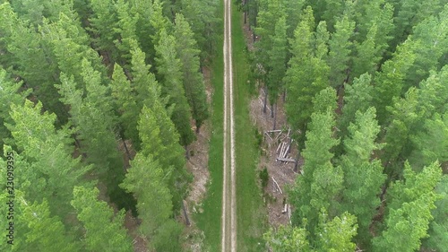 Flying above a dirt road leading through Kuitpo Forrest in Adelaide, South Australia photo
