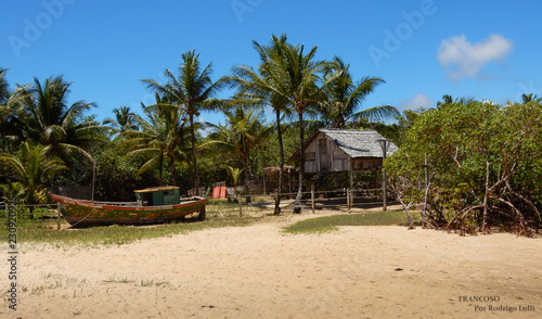 tropical beach hut © Rodrigo