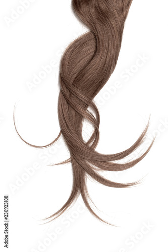 Brown hair, isolated on white background. Long and disheveled ponytail