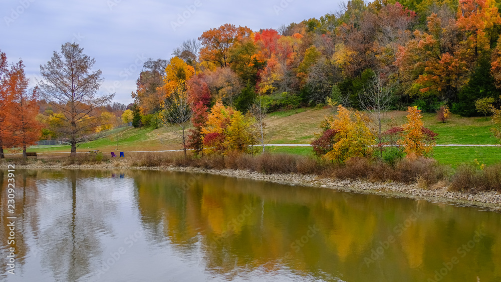View of Midwestern park in autumn; woods reflecting in water View of Midwestern park in autumn; woods reflecting in water