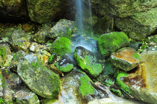 Mountain spring cascade