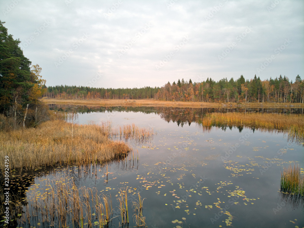 Landscape in fall Landscape in fall