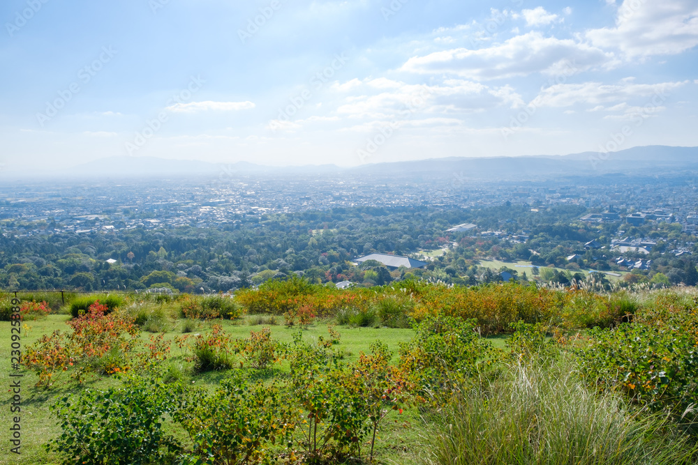 若草山と奈良の町