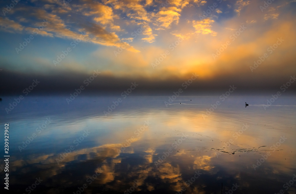 dawn of swan lake