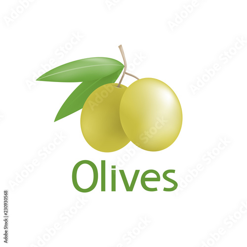 nature olive illustration