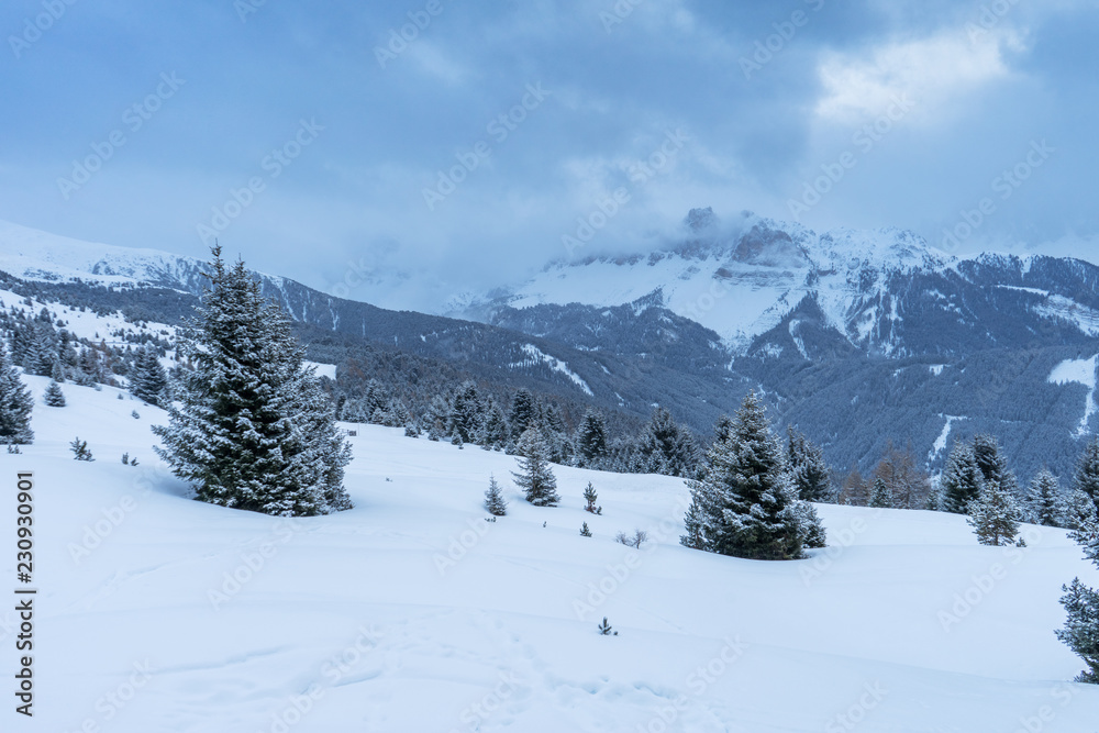 Winterliche Berglandschaft