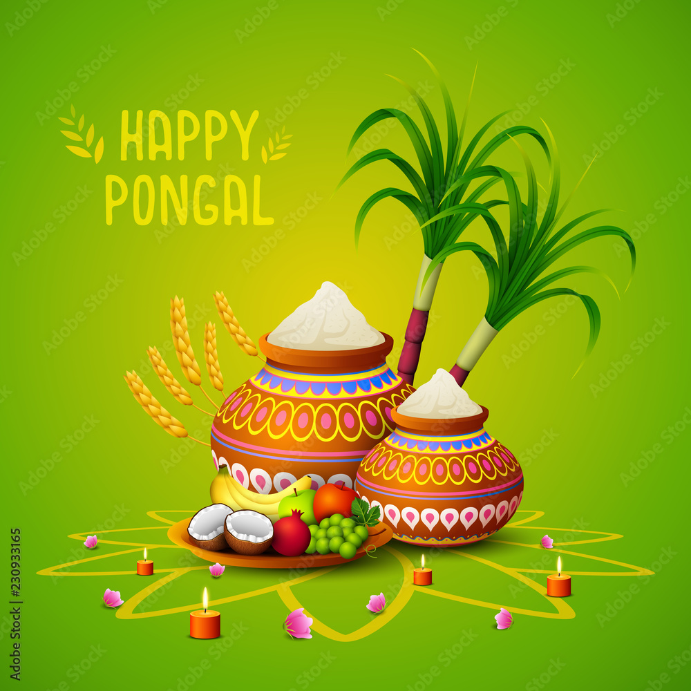 Fototapeta premium Happy Pongal greeting card on green background