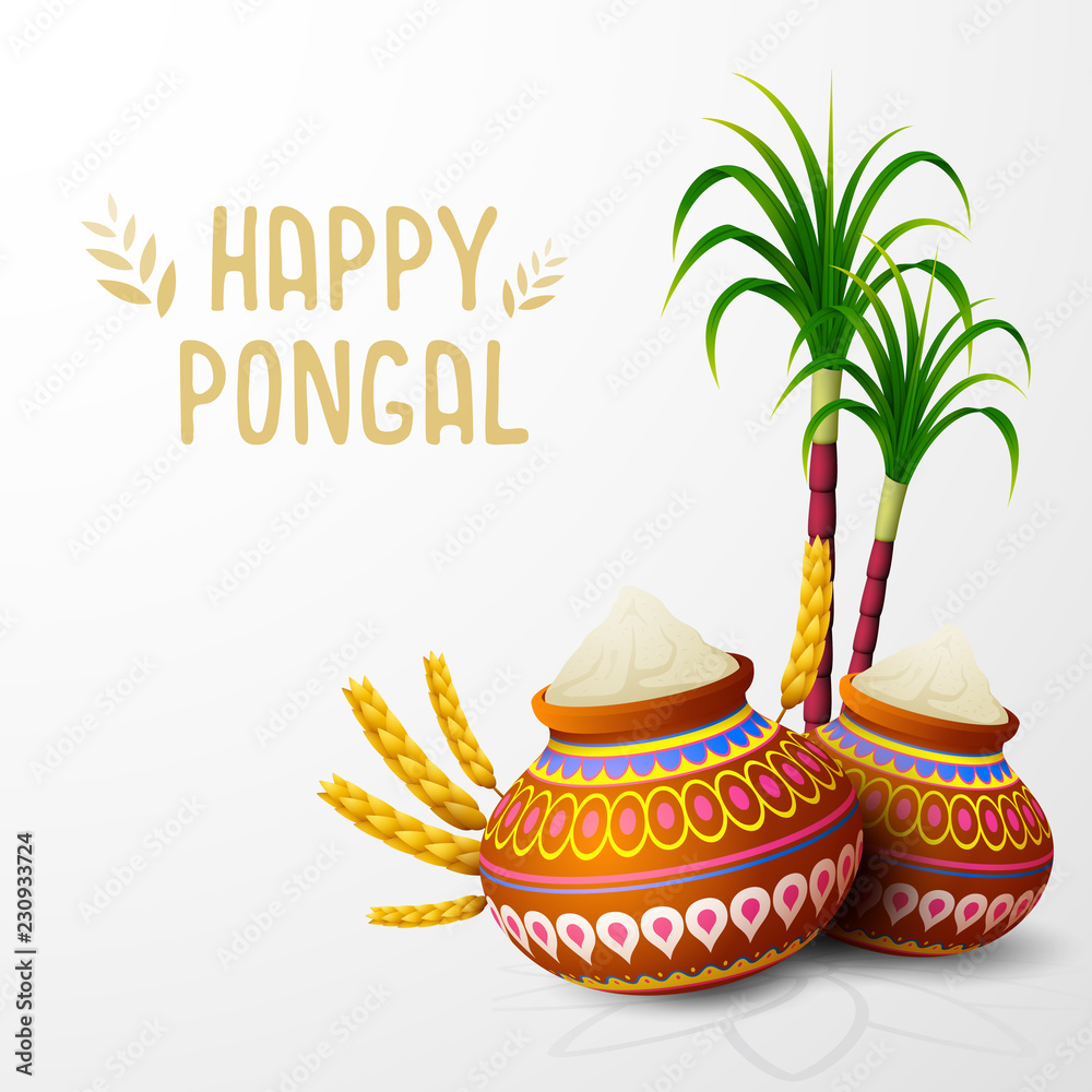 Obraz premium Happy Pongal greeting card on white background