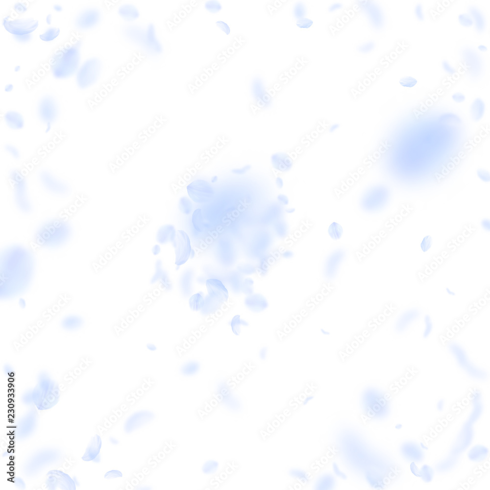 Light blue flower petals falling down. Valuable ro