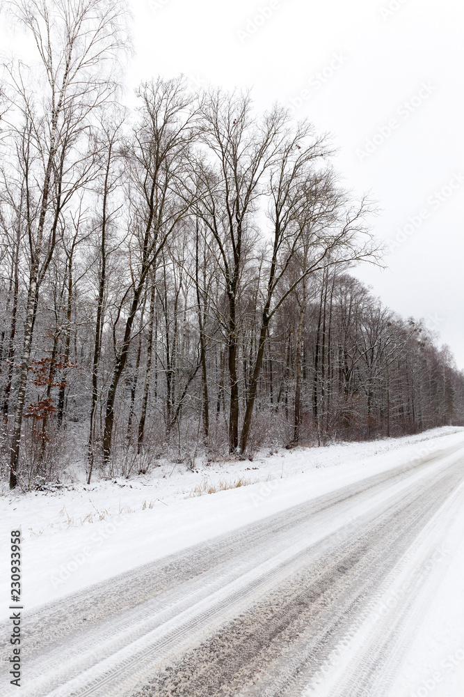 muddy road, winter