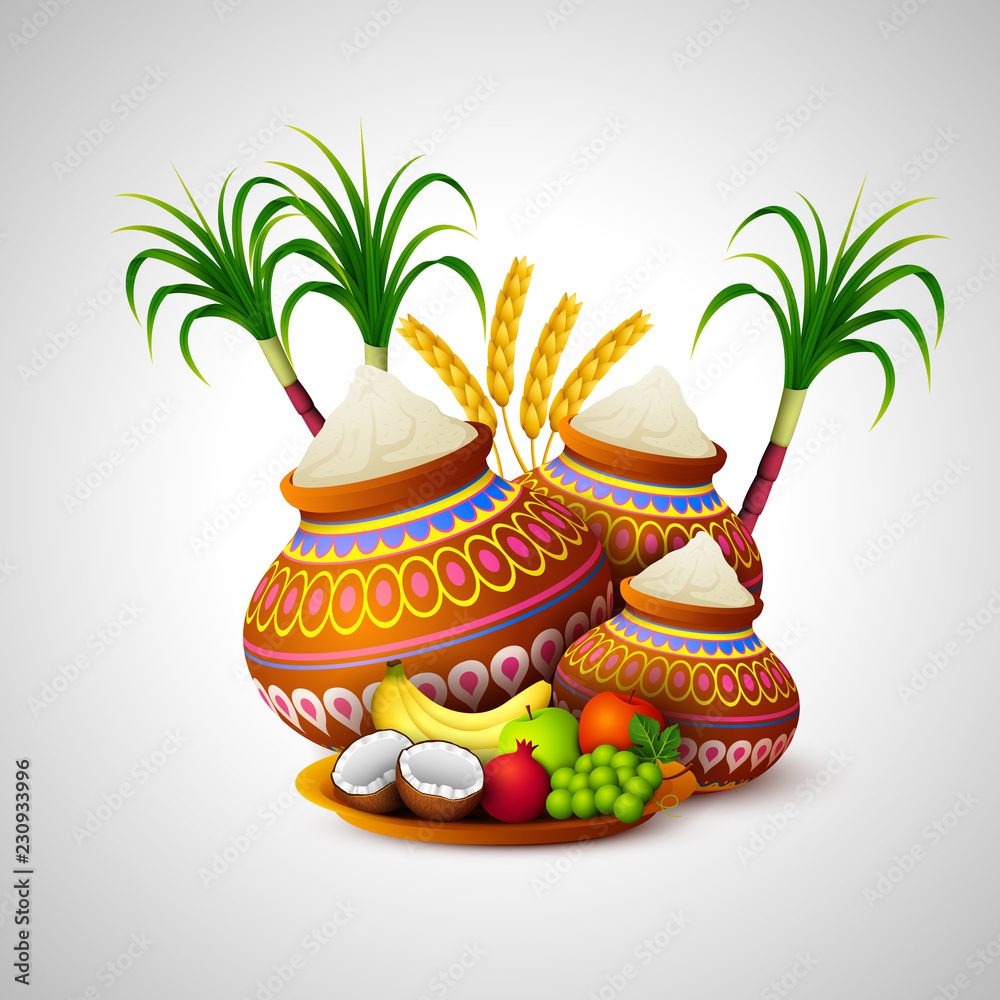 Naklejka premium Happy Pongal holiday festival celebration 